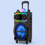 Parlante NDR-M081